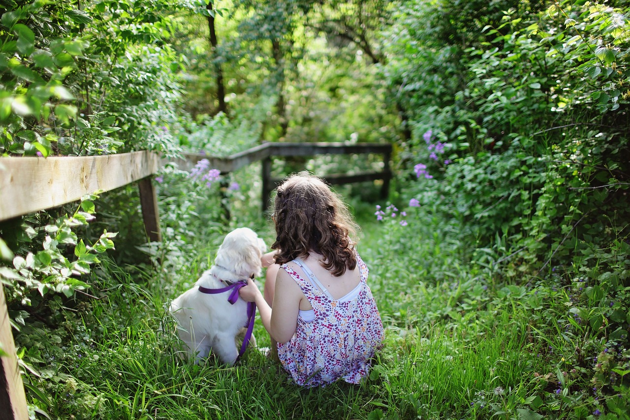 Comment alimenter son chien de maison?